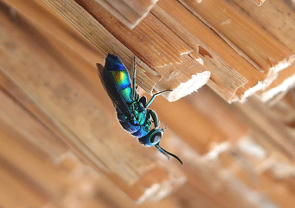 f2ca6cceb92da730b810b76988f622